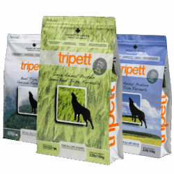 Sağlıklı Köpek Maması